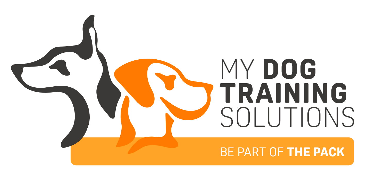 My Dog Training Solutions